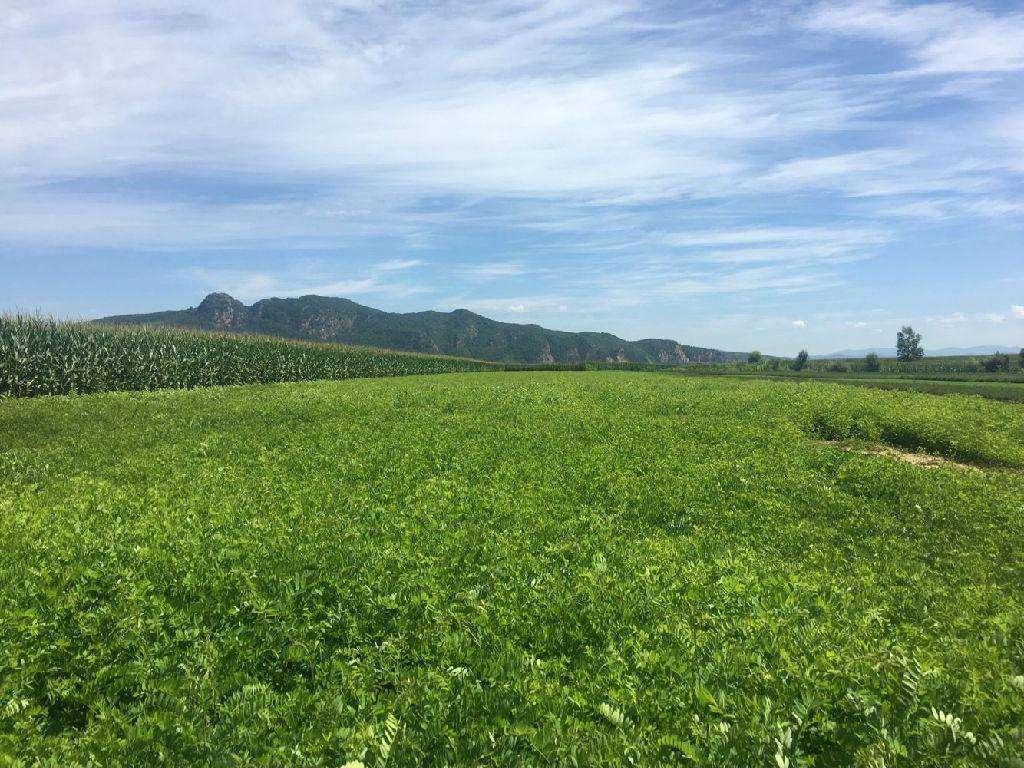 成都利生化工有限公司合作客戶(hù)